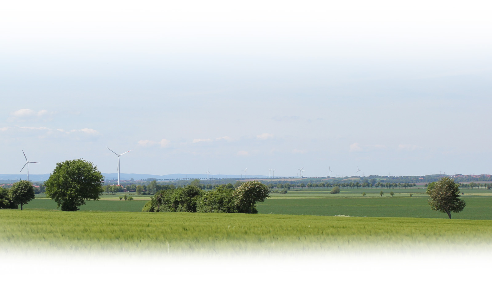 Das P-W-M Haus im Herzen der Börderegion, leben und Natur genießen!